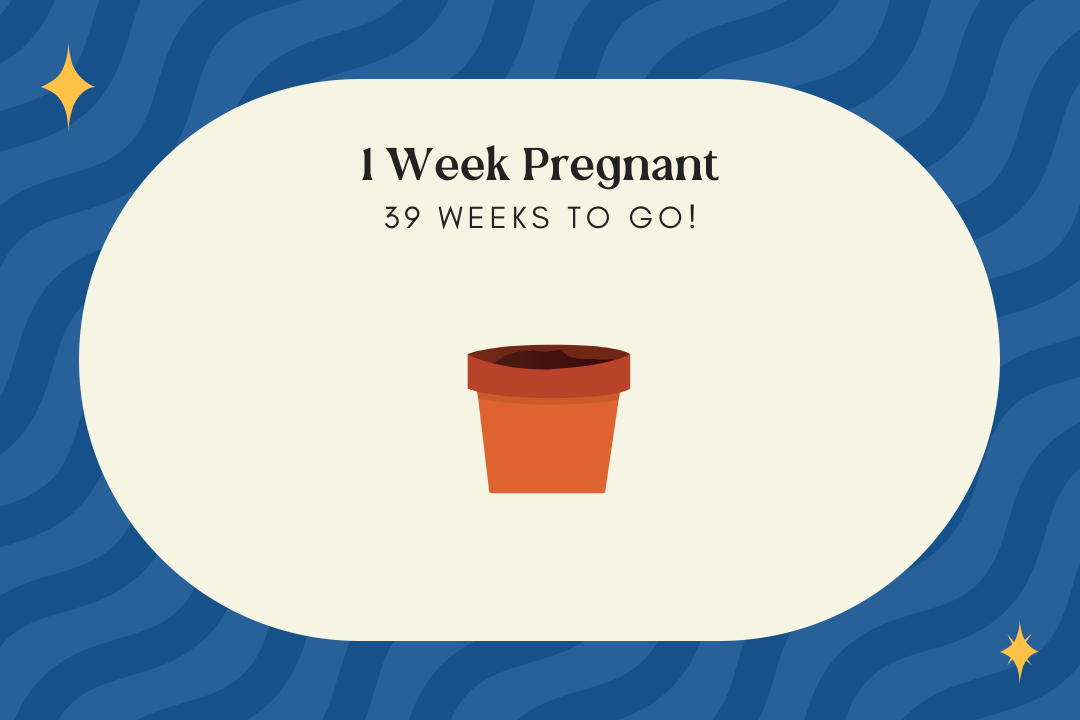 1 week pregnant