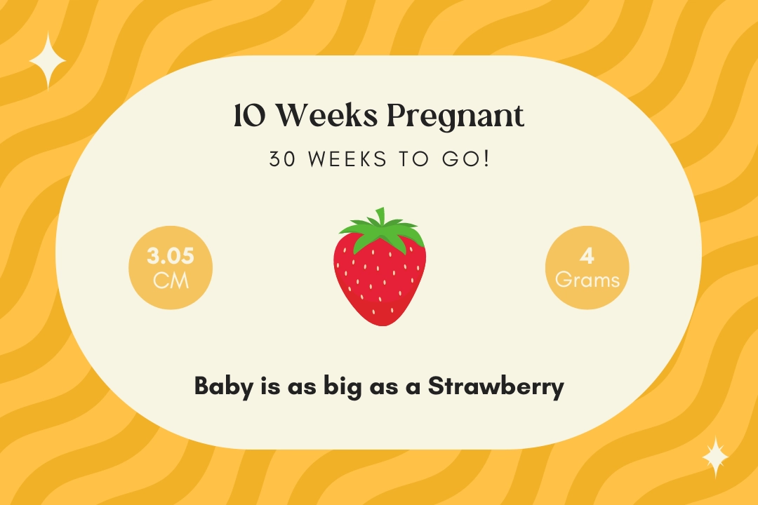 10 weeks pregnant