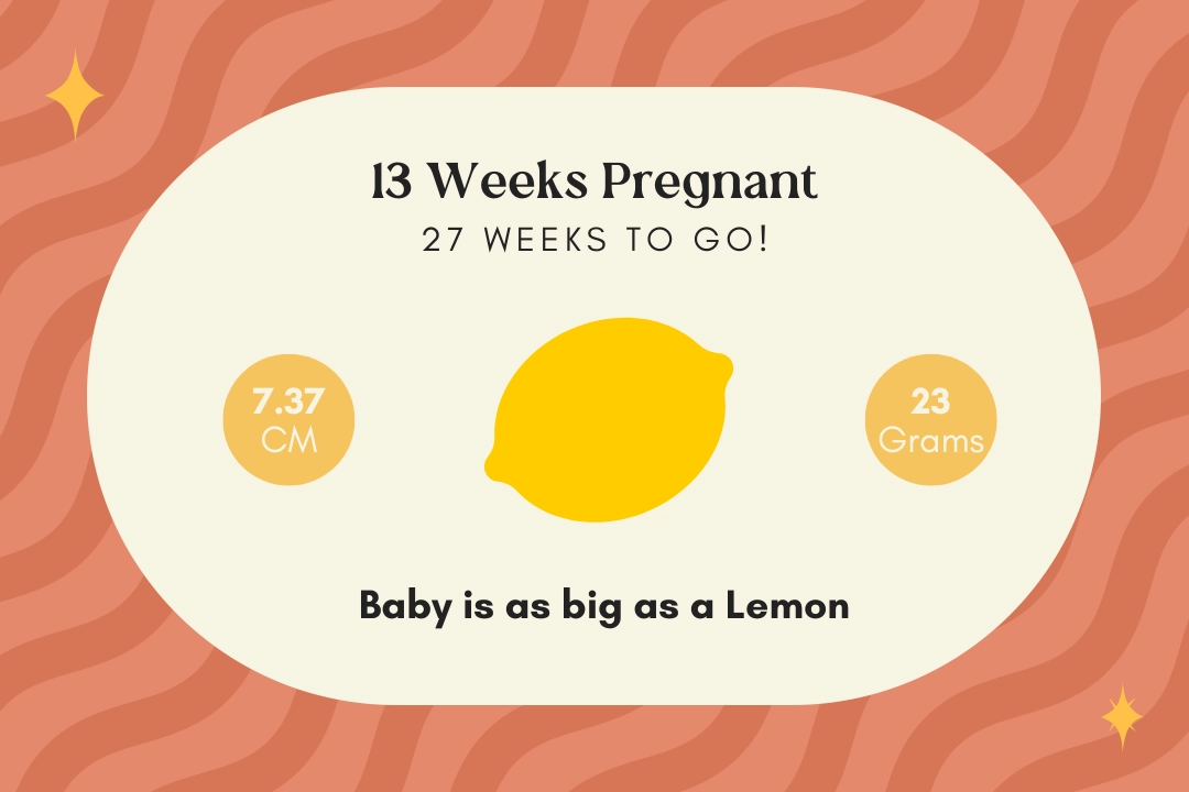 13 weeks pregnant