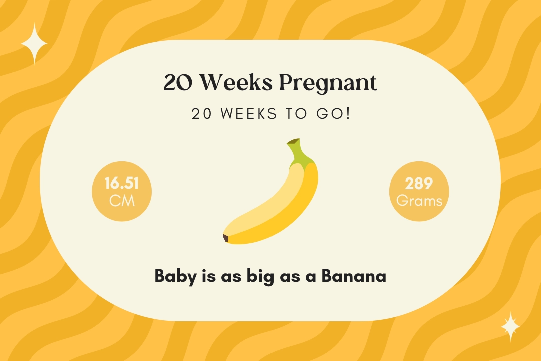 20 weeks pregnant