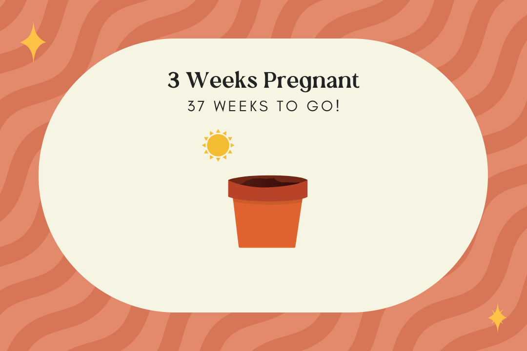 3 weeks pregnant