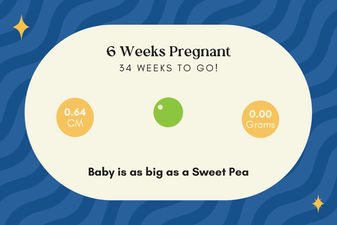 6 weeks pregnant