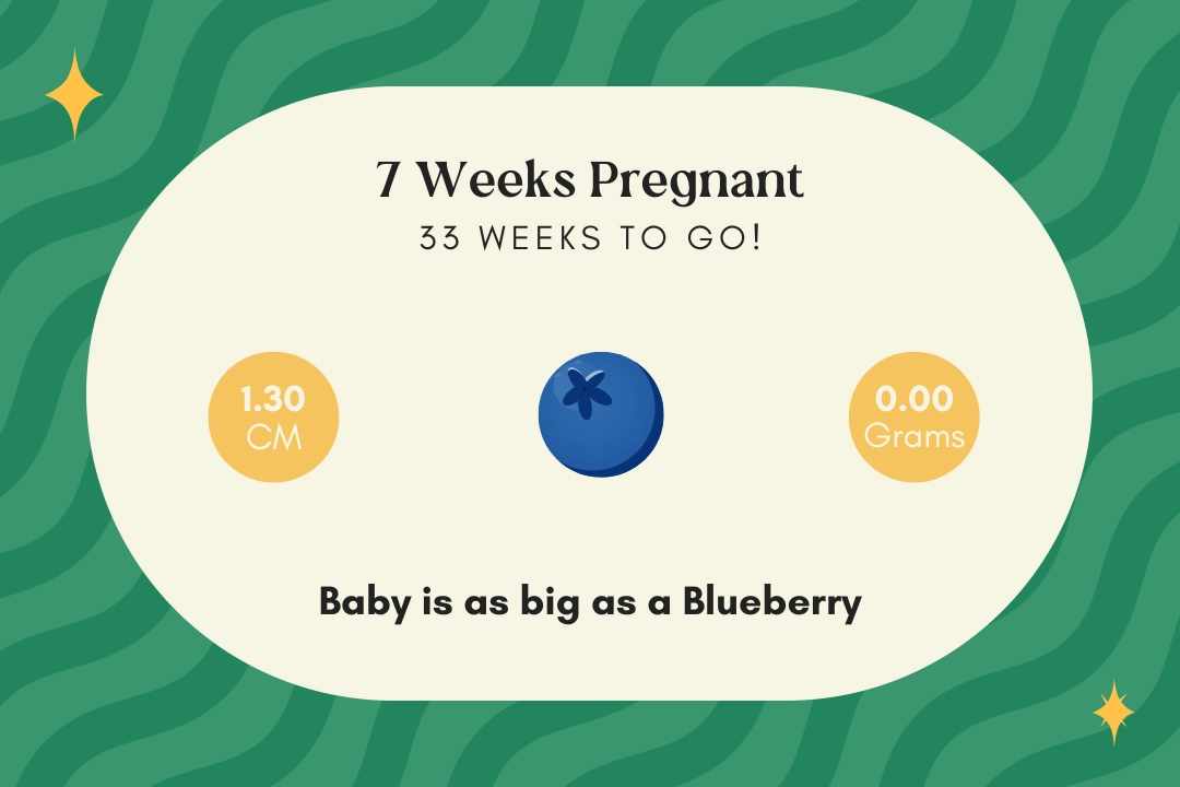 7 weeks pregnant