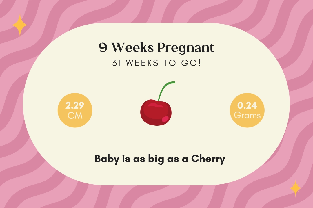 9 weeks pregnant