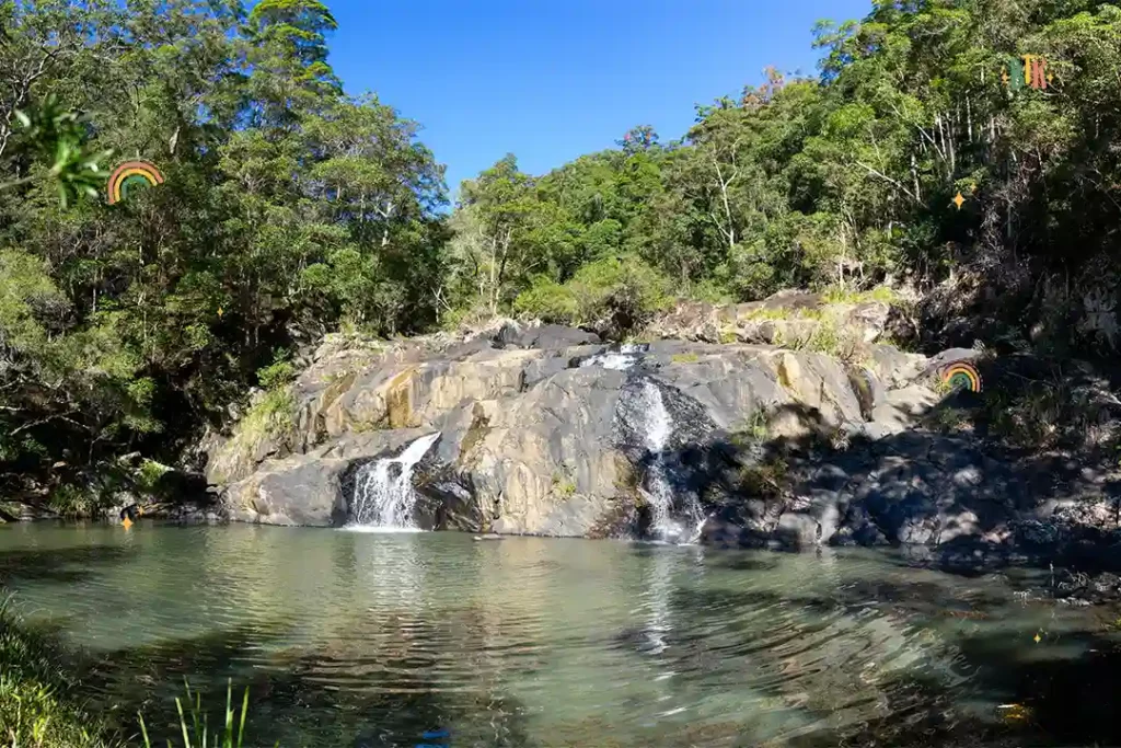 Conondale National Park