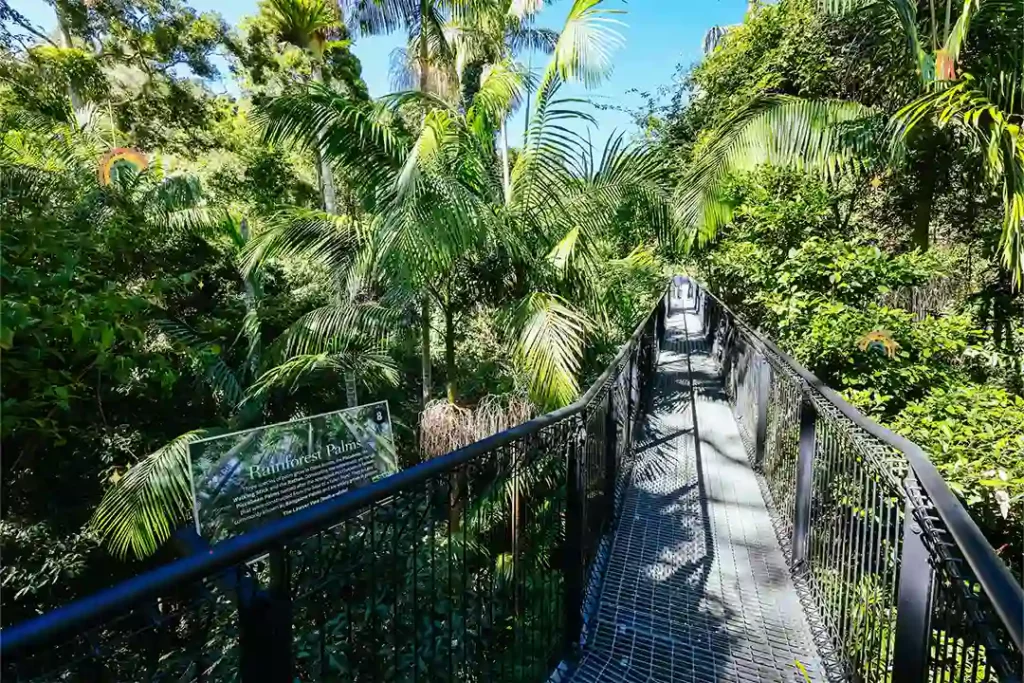 Tamborine National Park