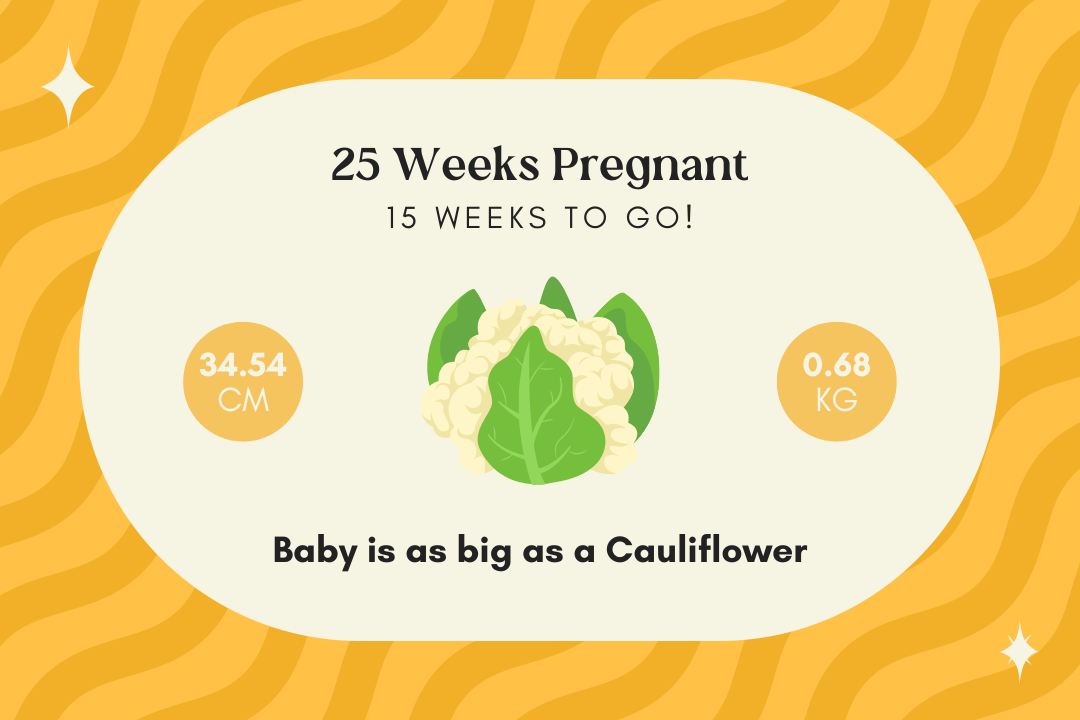 25 Weeks Pregnant - What Happens At 25 Weeks Pregnant?