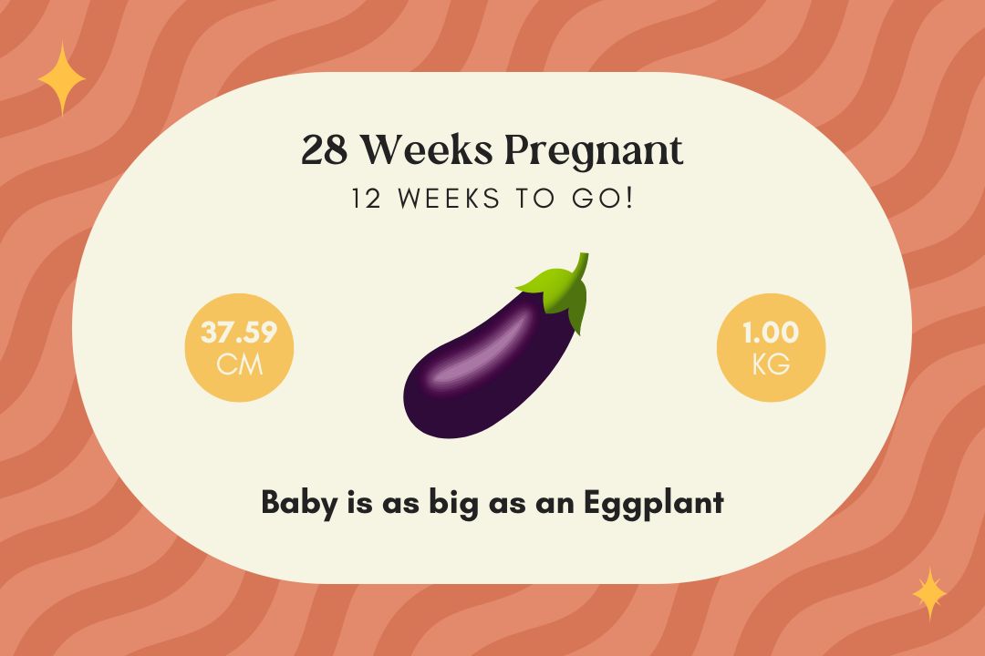 28 weeks pregnant