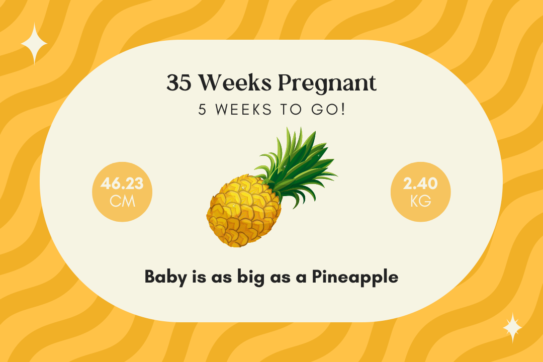 35 weeks pregnant