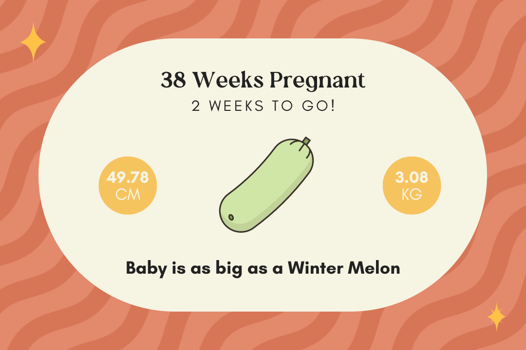 38 weeks pregnant